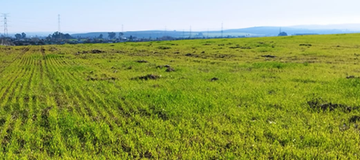 INNOCEREAL promove sessão na ESBE a 6 de maio