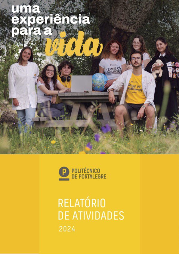 Relatório de Atividades 2024